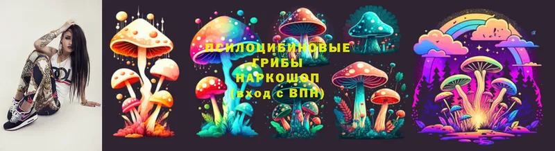 купить   Горно-Алтайск  Псилоцибиновые грибы Magic Shrooms 